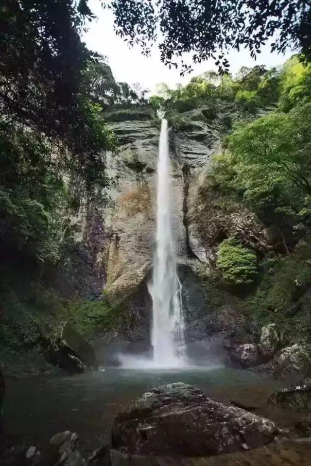 海贼王1104话汉化,大熊暴揍萨坦后失去行动能力,黄猿为波妮泪目